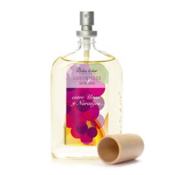 Ambientador en Spray 100 ml...