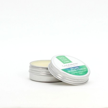 Bálsamo de Menta y Tomillo - Cosmética Ecológica Amapola Biocosmetics