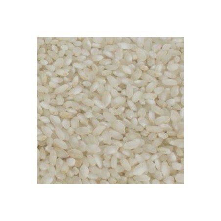 ARROZ BLANCO ECOLÓGICO