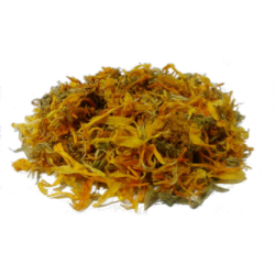 CALENDULA