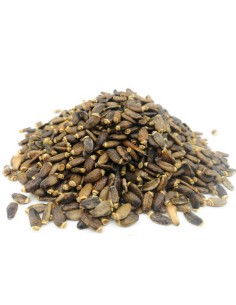 CARDO MARINO SEMILLA