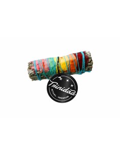 SALVIA SIETE CHAKRAS