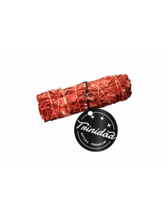 SALVIA SANGRE DRAGON